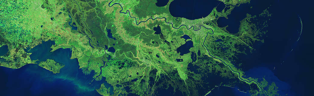 ماهواره ها به دانشمندان کمک می کنند تا از دست دادن چشمگیر تالاب ها در لوئیزیانا را ردیابی کنند