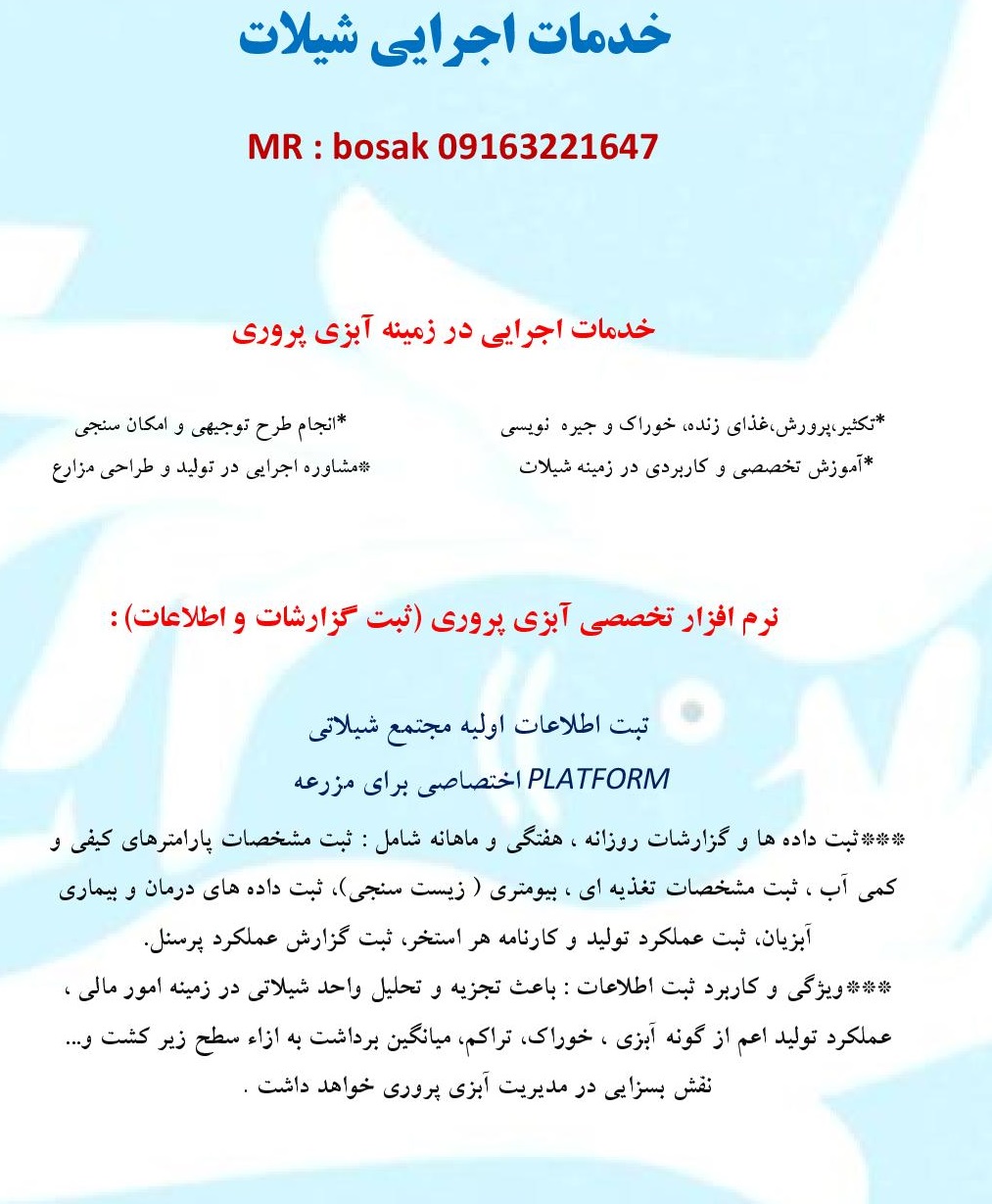 خدمات شیلات