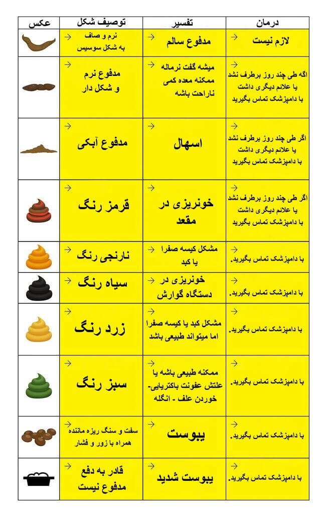 جدول طبقه بندی faeces گربه و برسی وضعیت سلامتی