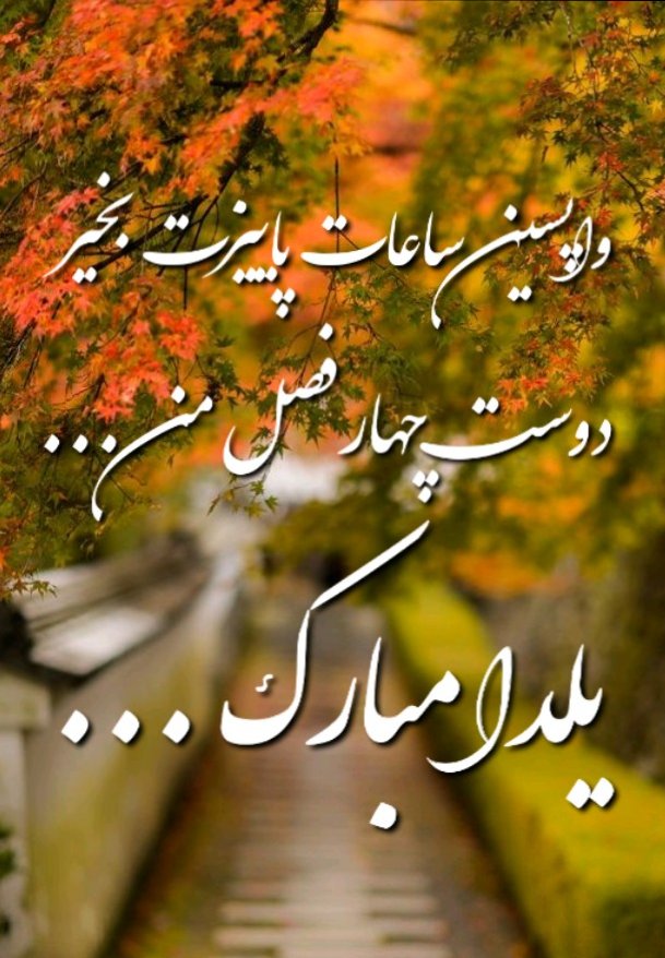 ? یلدا یعنی یادمون باشه