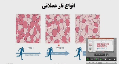 فیزیولوژی ورزشی