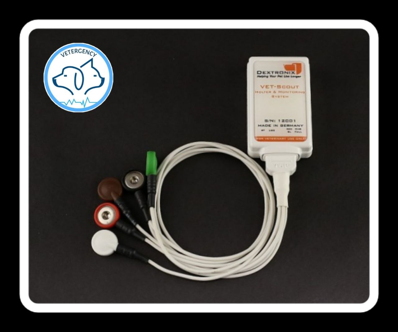 هولتر مانیتور در دامپزشکی