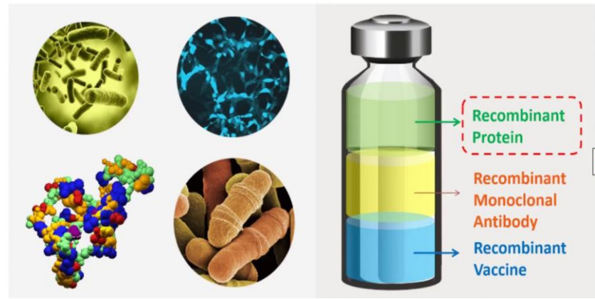 بیوتکنولوژی