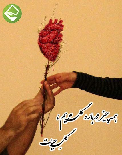 "همه چیز درباره گل مریم، گلِ حیات"