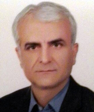 مهران مسیبی