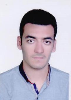 سید مجتبی فرجامی