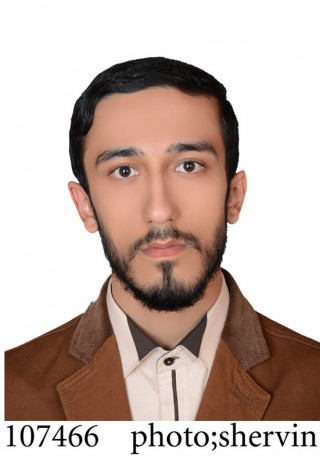 سید عارف موسوی