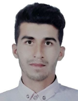 حامد قیاسی سررکی