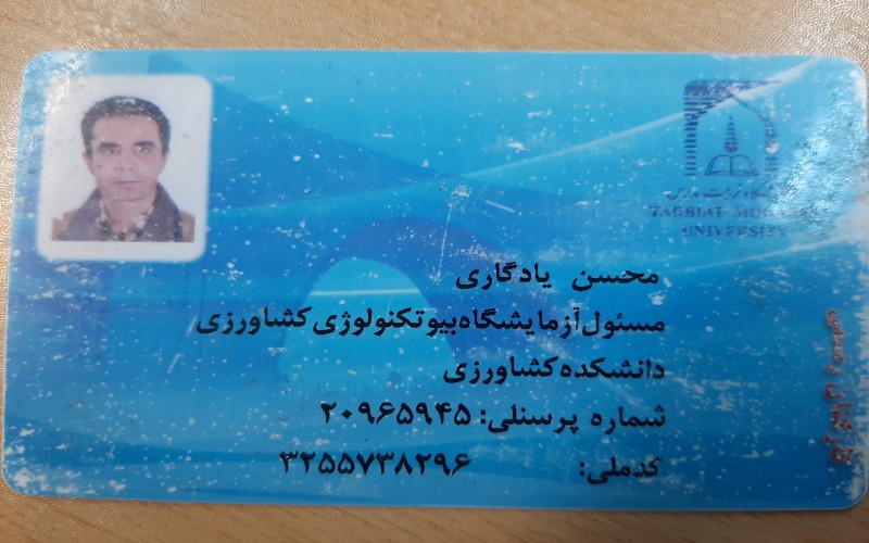 محسن یادگاری