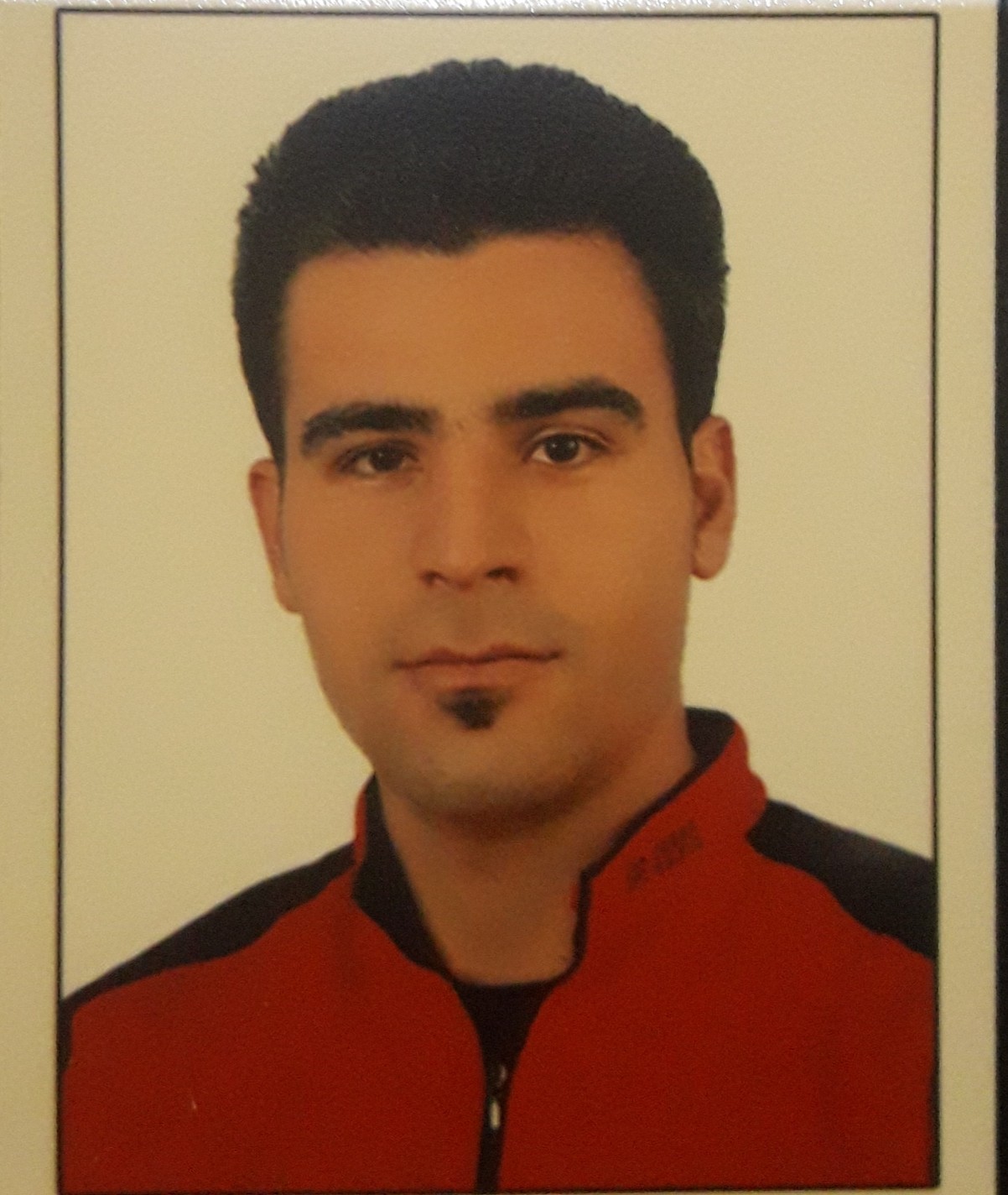 مسعود شریفی