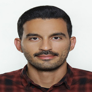 آریا حسن پور