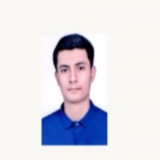 رضا امیریان