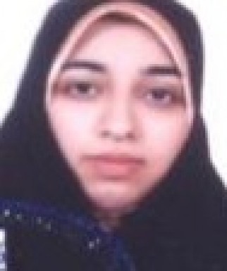 هستی احمدی میرصادقی