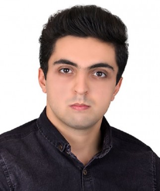 سید مهدی جغتائی