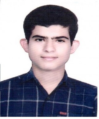 محمد هادی قرقانی