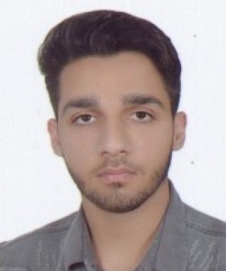 نیما ولدبیگی