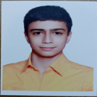 علی ملک پور