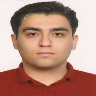 محمدرضا نجفی پور