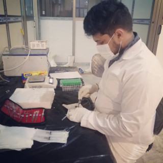 حمیدرضا طبیبی