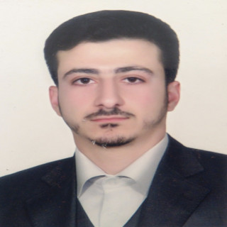 سید مجتبی مدنی