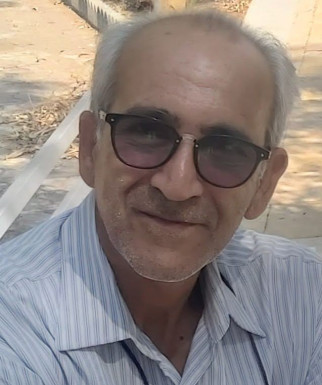 محمود فیروزی مقدم