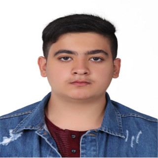 مرتضی واعظی