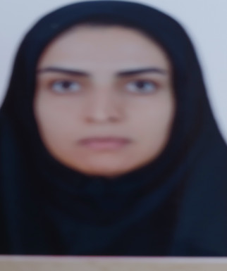 مینا نظری رباطی