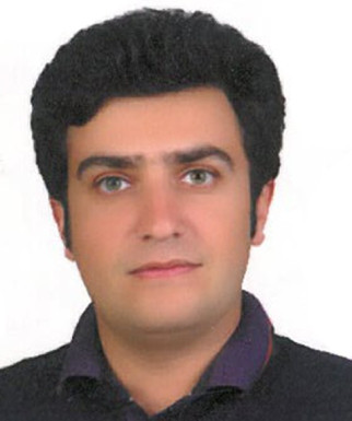 مهدی داودی گرمارودی