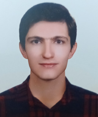 آرمان حمزه لو