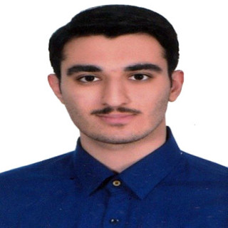 امیرحسین حاجی پور