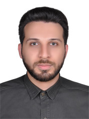 امیرحسین شبیبی