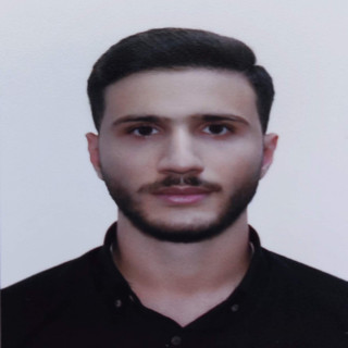 سید محمدرضا میرعمادی