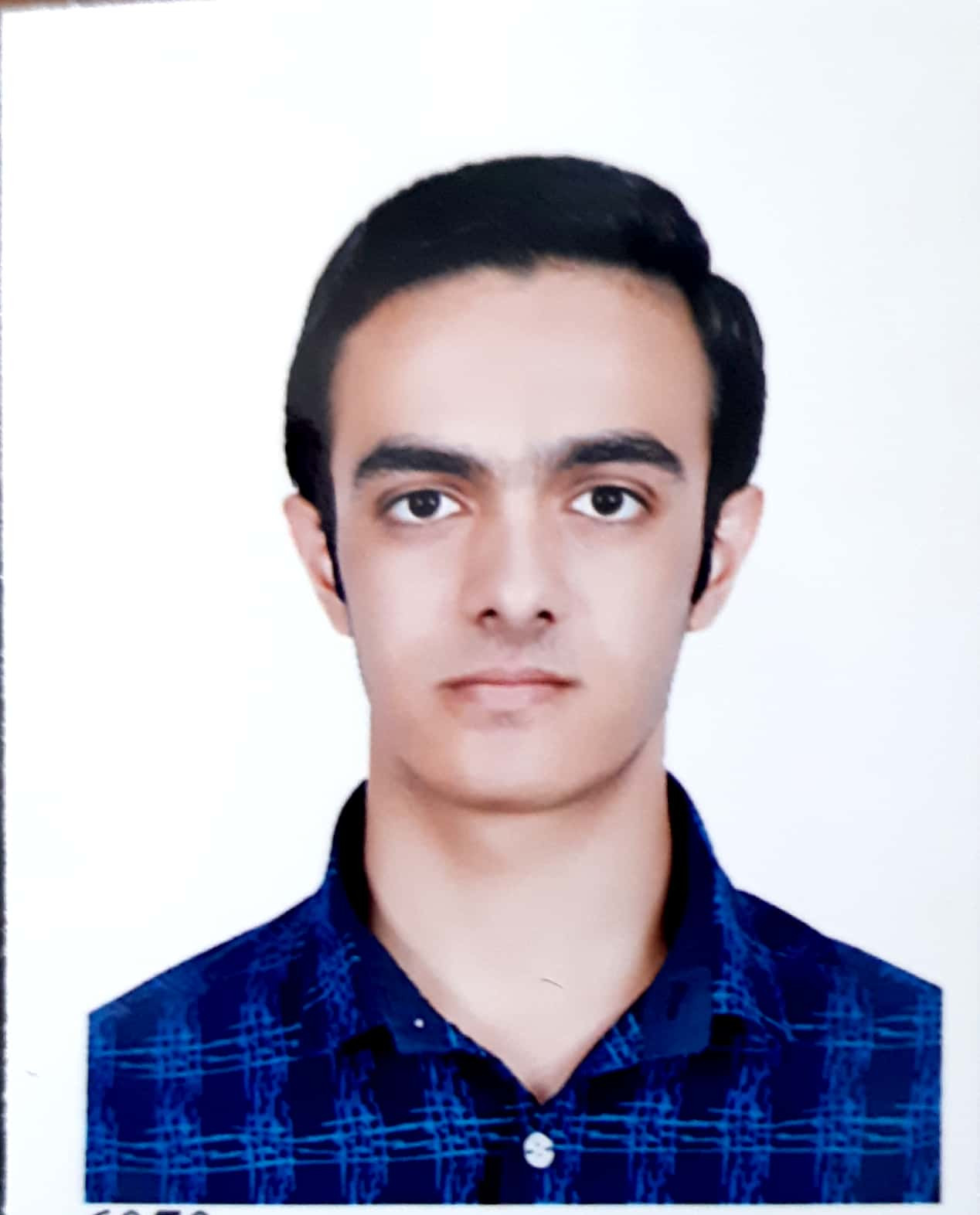 محمدمهدی ستاک