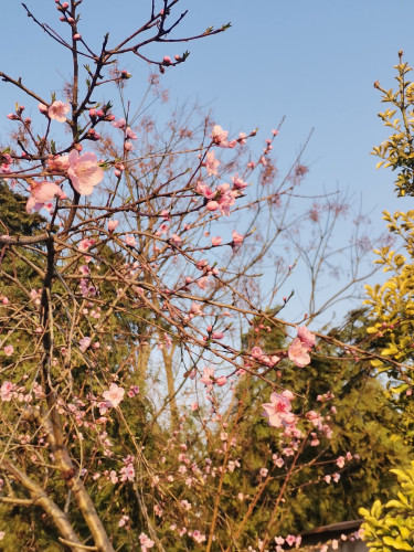 الهام فرزاد