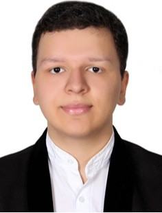 آرمین حسن پور