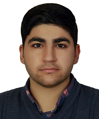 امیرحسین احمدشاهی