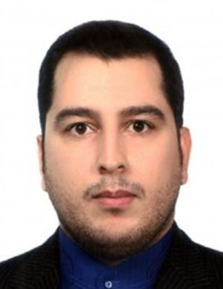 سید مجتبی میری