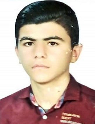 مرتضی میری تنها