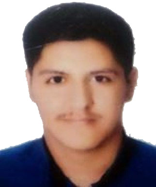 فردین سعیدی عنصرودی