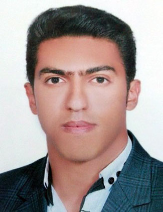 بیژن پایدار