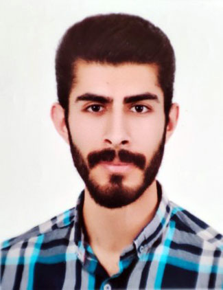 سید افشین سرابی