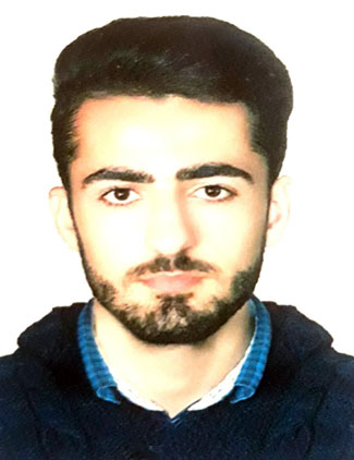 محمد یوسفی پور انارکولی