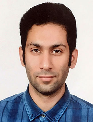 محمدرضا دومیری گنجی