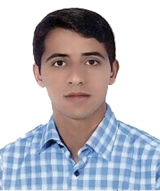 سید ابوالحسن موسوی ورزنه