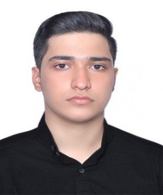 سید محمد مهدی پورسید