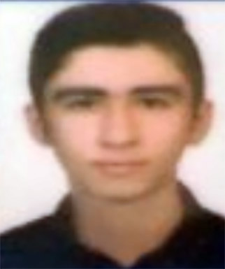 علی رضایی برزانی