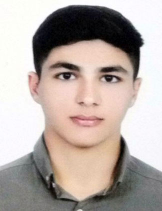 امیرحسین محمودزاده