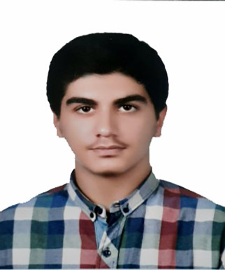 محمد حسین پور ولاشدی