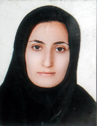 فریده محمد حسین زاده