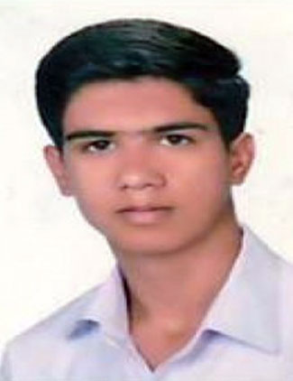 محمد ذوالفقاری